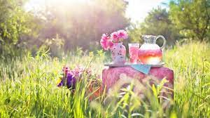Sfeervolle zomer avonden in de tuin doorbrengen