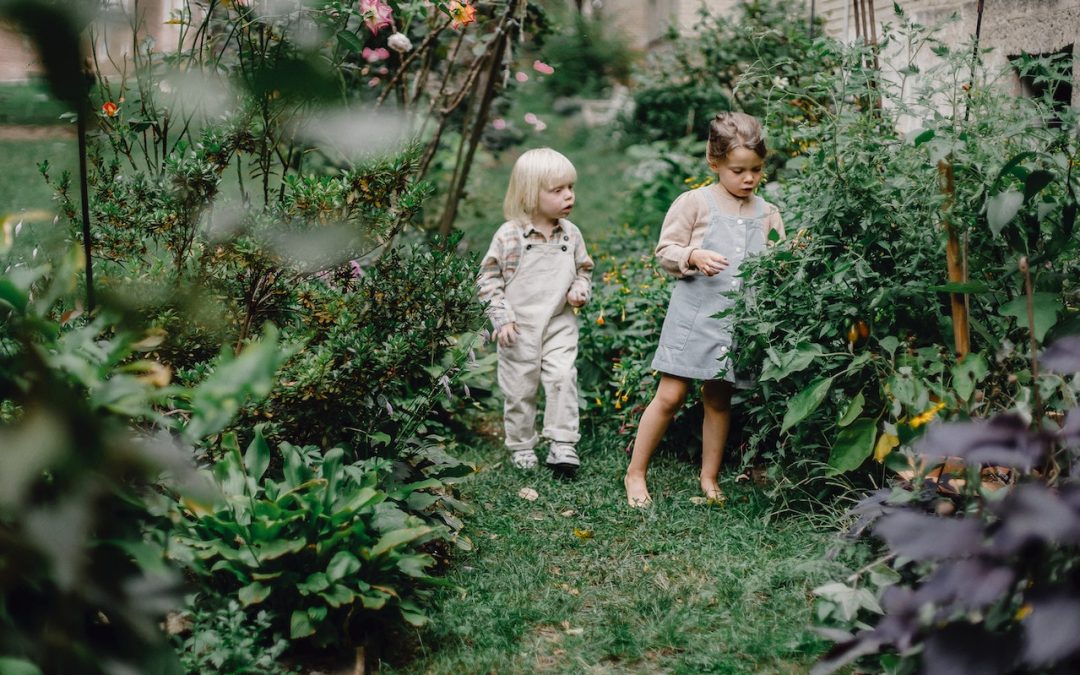 De beste manieren om een kleine tuin groter te laten lijken