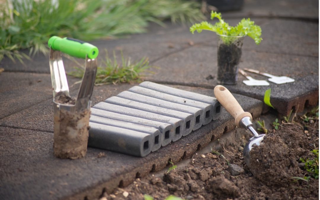 De bloemetjes buitenzetten? Dit is de beste tijd!