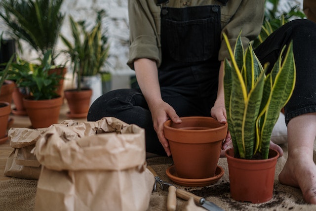 Dé trends om jouw tuin een make-over te geven