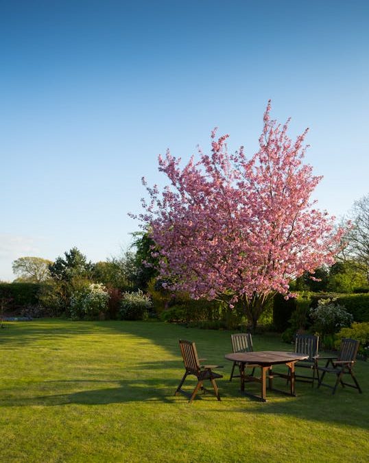 Een terras creëren in eigen tuin? Zo doe je dat!